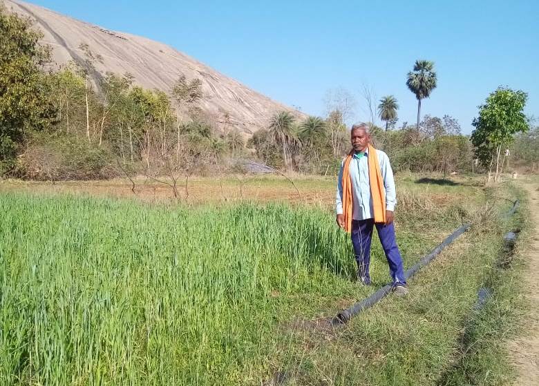 सौर सुजला और शाकम्भरी योजना से सिंचाई की मिली सुविधा, खेती बनी लाभकारी