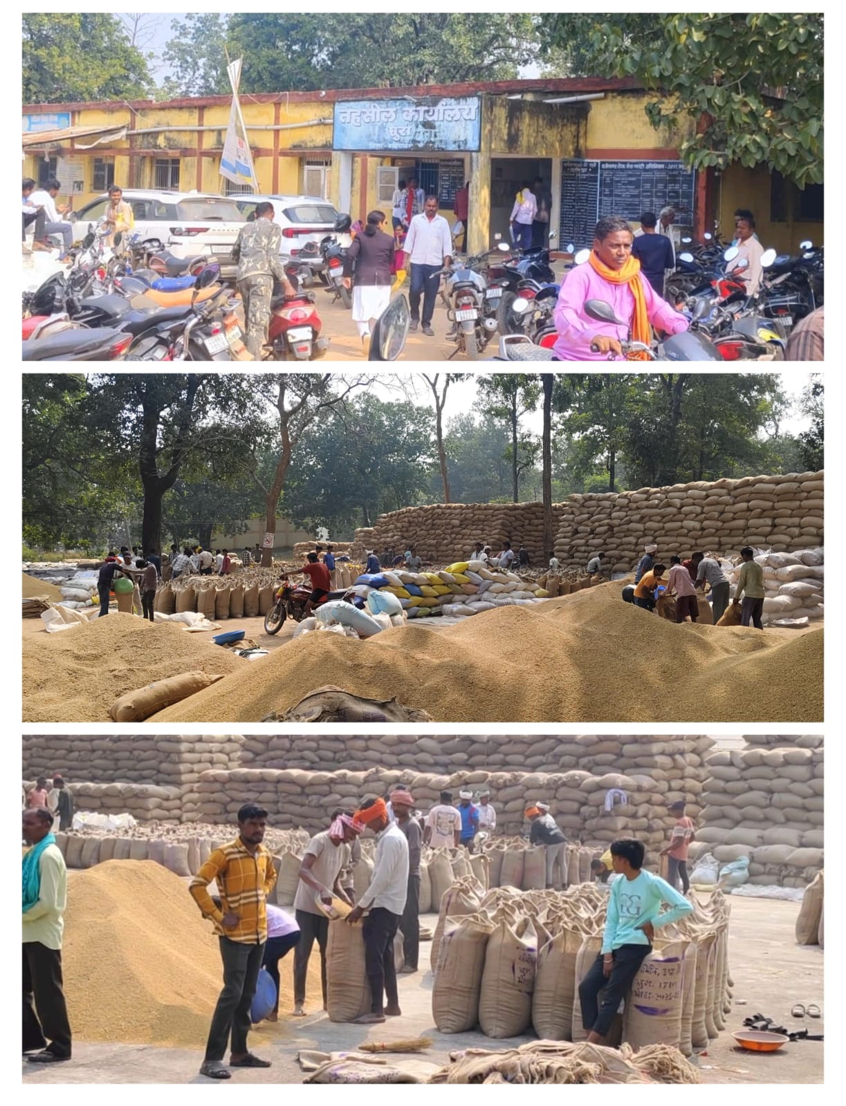 एग्रीस्टेक पंजीयन और "कैरी फारवर्ड" समस्या से जूझ रहे किसान, धान खरीदी पर संकट गहराया