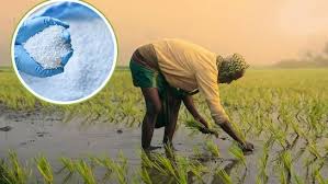 किसानों के लिए बड़ी राहत : सितंबर माह में 60,800 मीट्रिक टन यूरिया का आबंटन