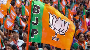 दुर्ग में प्रतिबंधित अफीम की खेती का मामला उजागर :कांग्रेस के आरोप पर बीजेपी का जवाब : बोले- कांग्रेस सरकार के संरक्षण में हुई शुरू