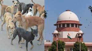 कुत्ते ने काटा तो राज्य भरेंगे हर्जाना,सुप्रीम कोर्ट का अहम फैसला