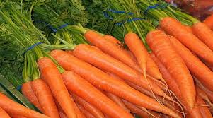  कम समय और कम लागत में अधिक पैदावार,नवंबर-दिसंबर में लगाएं गाजर की ये किस्में 