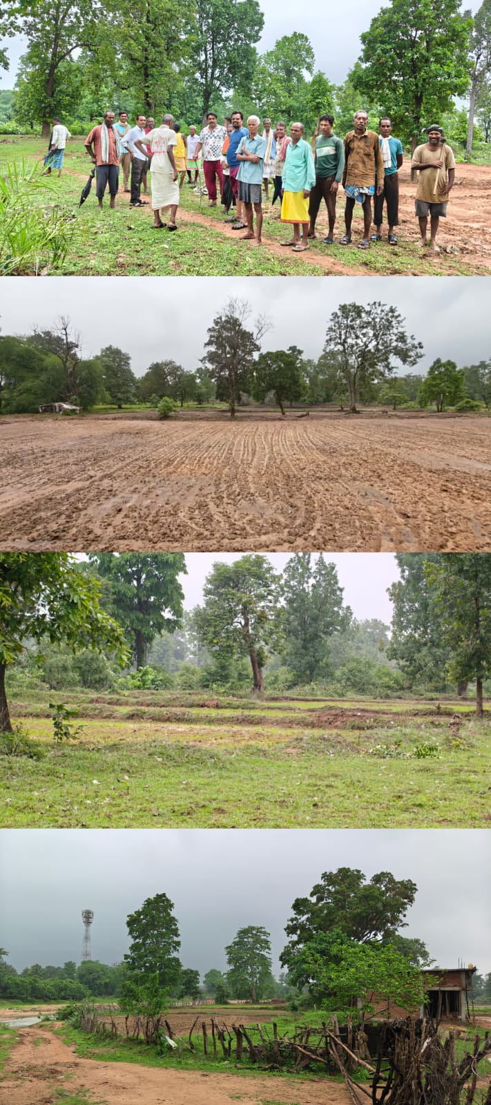 वन विभाग की उदासीनता से उजड़ रहे जंगल! रसेला में ग्रामीणों ने किया अतिक्रमण का निरीक्षण, वृक्षारोपण क्षेत्र में खेत मिलने पर जताई चिंता