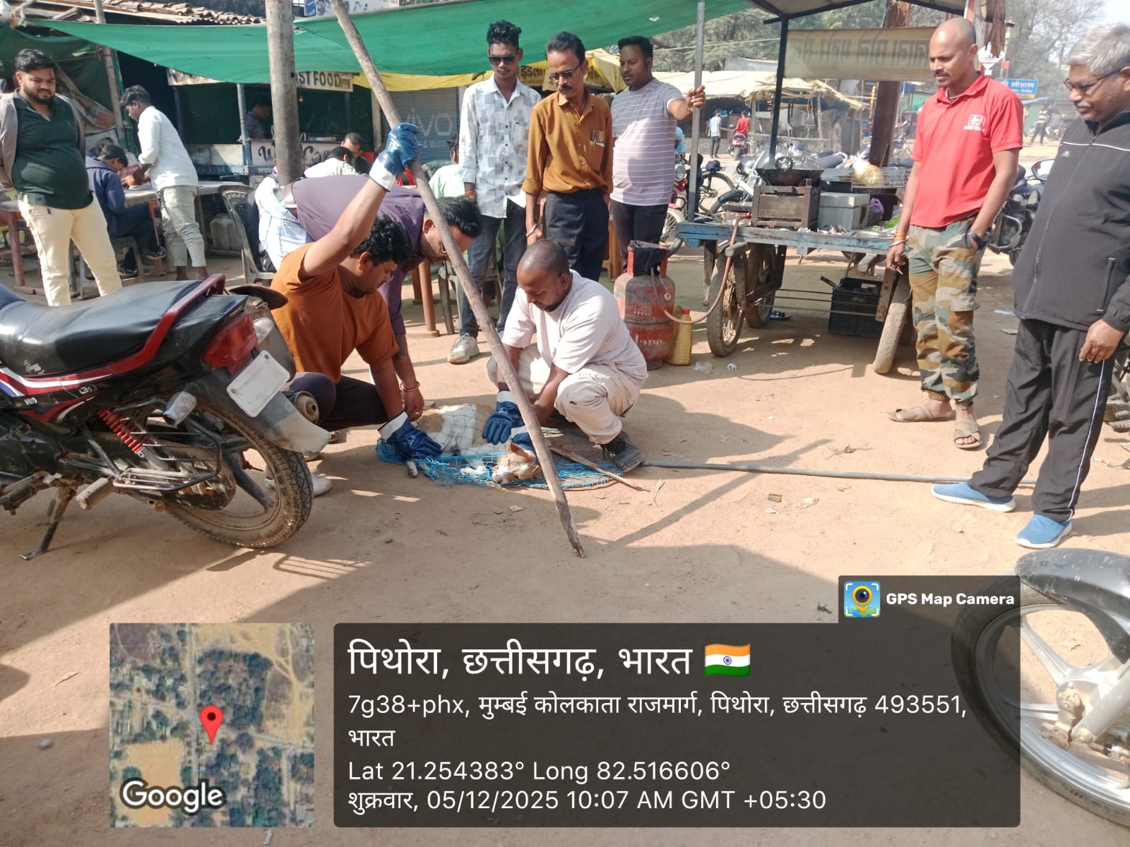 पिथौरा में आवारा कुत्तों के लिए एंटी-रेबीज टीकाकरण अभियान शुरू