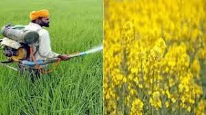 रबी फसलों के लिए क्राप वार अभियान, सोयाबीन, कपास व गन्ना को रोगमुक्त करने के लिए चलेगा विशेष अभियान