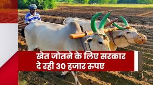 खेत जोतने के लिए मिल रही है आर्थिक मदद,इन किसानों को मिलेंगे 30 हजार रुपए