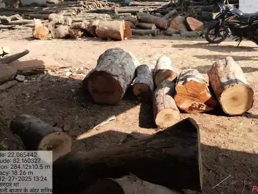 बिलासपुर:आरा मिल में रेड, करोड़ों की इमारती लकड़ी बरामद