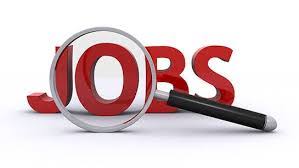 सीएससी ई-गवर्नेंस सर्विसेज इंडिया लिमिटेड में जिला समन्वयक पदों पर भर्ती