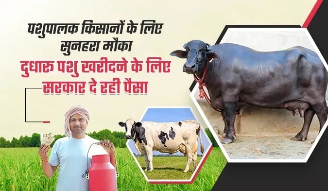  दुधारू पशु खरीदने के लिए सरकार दे रही पैसा,पशुपालक किसानों के लिए सुनहरा मौका..जानें  कैसे करना होगा आवेदन