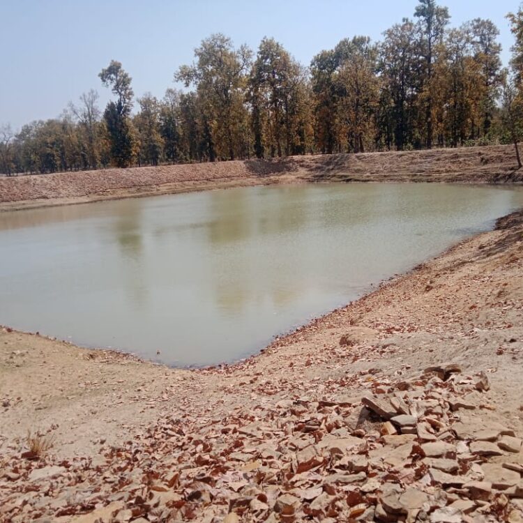 रोजगार से आत्मनिर्भरता की ओर जिले में मनरेगा से स्थायी आजीविका को मिल रहा नया आधार