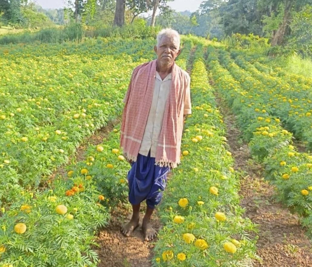  छत्तीसगढ़ में फूलों की खेती बनी ‘गेमचेंजर’, किसान कर रहे लाखों की कमाई

