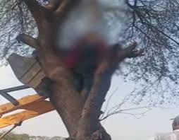 50 वर्षीय अधेड़ और 19 वर्षीय युवती की लाश एक ही फंदे से पेड़ पर लटकी हुई मिली,जाँच में जुटी पुलिस 