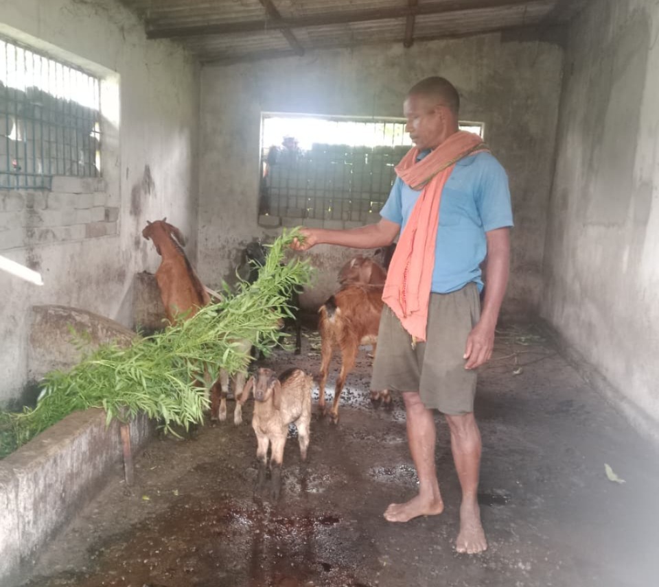 बकरी पालन में अतिरिक्त आय से फूलसाय बना आत्मनिर्भर