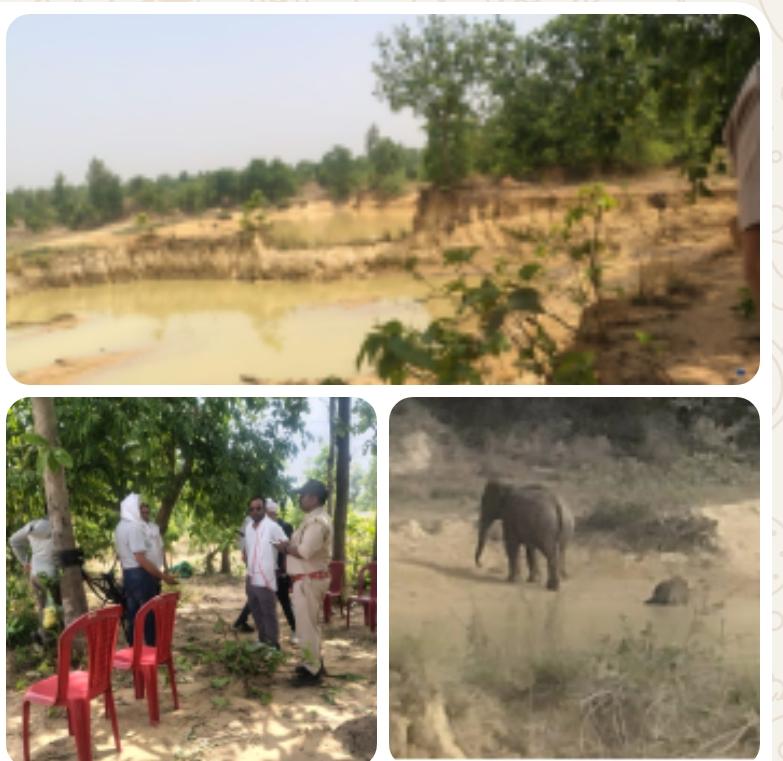 धरमजयगढ़ में फिर गई हाथी शावक की जान, वन विभाग की तैयारियों और DFO की कार्यप्रणाली पर उठे बड़े सवाल