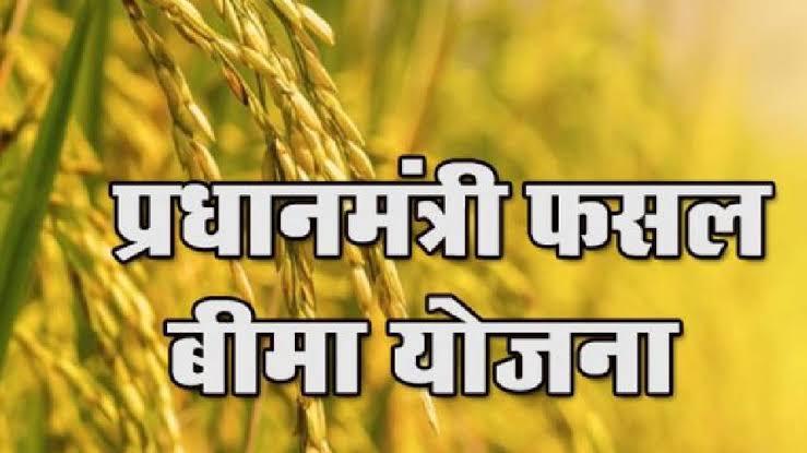 प्रधानमंत्री फसल बीमा योजना : किसानों को प्राकृतिक आपदाओं से फसल नुकसान से मिलेगी राहत