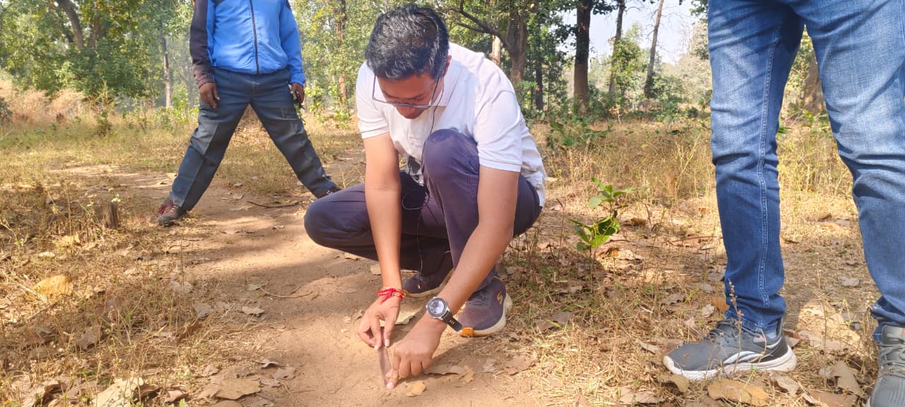 गरियाबंद जिले के सड़क परसुली वन परिक्षेत्र में बाघ की मौजूदगी की आशंका, ग्रामीणों में दहशत