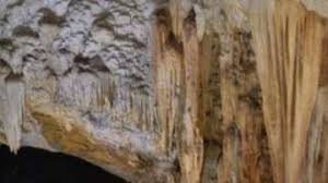  छत्तीसगढ़ की गुफा में मिला अनोखा रहस्य, बिना आंखों वाली मछलियां चर्चा में
