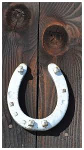 क्या घोड़े की नाल घर के दरवाजे पर लगाने से हमारा भाग्य चमकता है?जानिए...