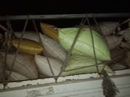 अवैध धान के विरुद्ध प्रशासन सख्त, लगातार कार्रवाई जारी