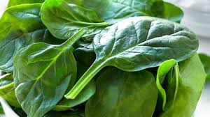पालक का जूस सेहत के लिए काफी फायदेमंद,यहां जानें इसे बनाने का सबसे आसान तरीका