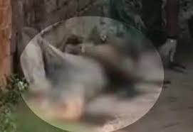 अधेड़ व्यक्ति की हत्या,खूनी वारदात से इलाके में फैली सनसनी 