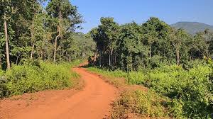 मरईगुड़ा वन में प्रशासन की त्वरित कार्रवाई ने टाल दी बड़ी घटना