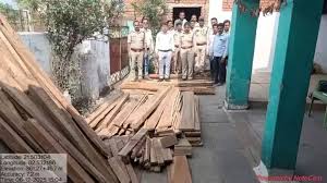 वन विभाग ने ग्रामीण के घर मारी रेड,सागौन और बीजा लकड़ी का चिरान जब्त