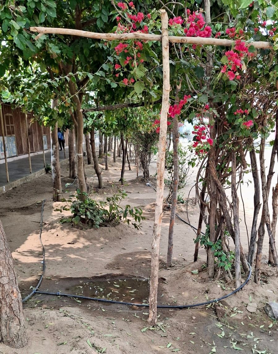 नवाचार की मिसाल : पोटाकेबिन में वेस्ट वॉटर मैनेजमेंट के जरिए लहलहा उठी बगिया