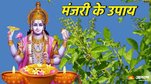 गुरुवार के दिन करें मंजरी से जुड़े ये उपाय,धन की समस्या से लेकर नेगेटिव एनर्जी होगी दूर