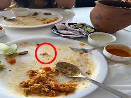 अशोका बिरयानी रेस्टोरेंट...वेज फूड में निकला मांस का टुकड़ा:भिलाई में CA परिवार का हंगामा