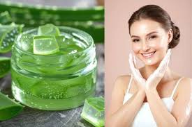Skincare Tips: एलोवेरा जेल में मिलाकर लगाएं ये 1 चीज, खिल उठेगा चेहरा