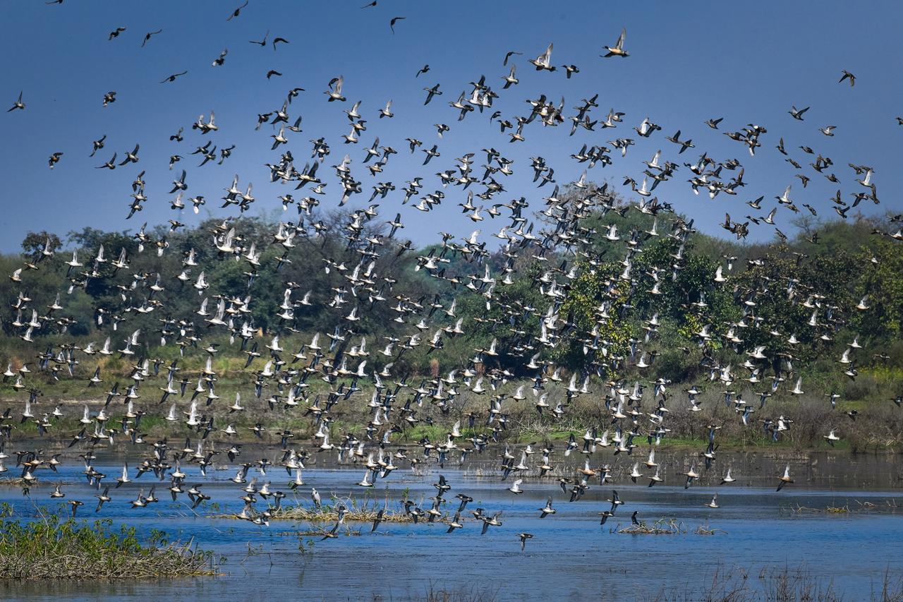  छत्तीसगढ़ का पहला रामसर साइट बना कोपरा जलाशय
