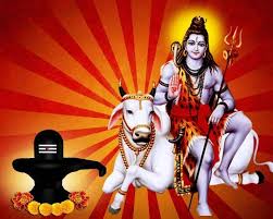  सोम प्रदोष व्रत पर करें शिवजी के इन शक्तिशाली मंत्रों का जाप, भोलेनाथ बरसाएंगे कृपा