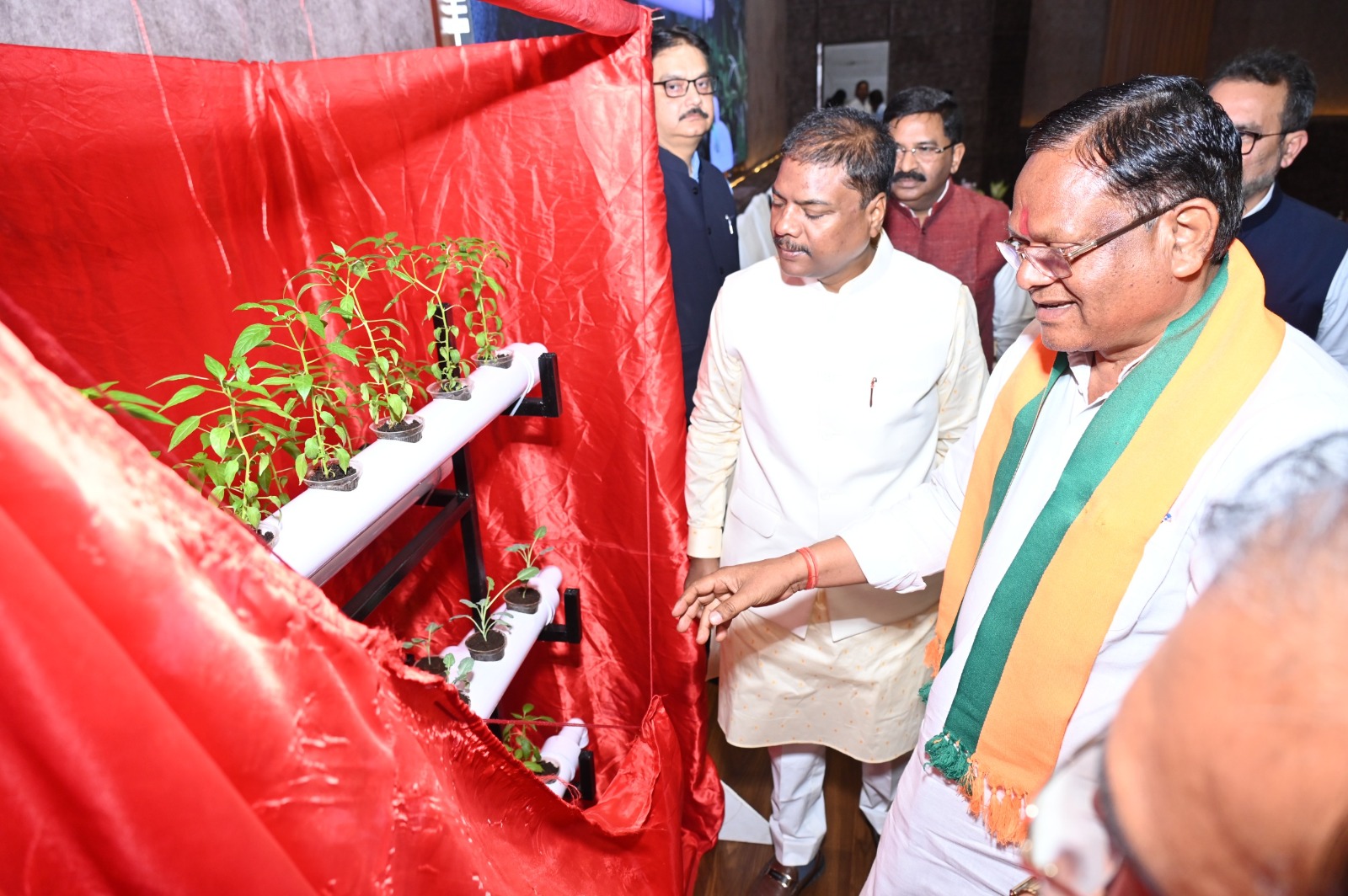 बिना मिट्टी की खेती से होगी बंपर कमाई! जानिए हाइड्रोपोनिक्स तकनीक, जो बदल रही किसानों की किस्मत