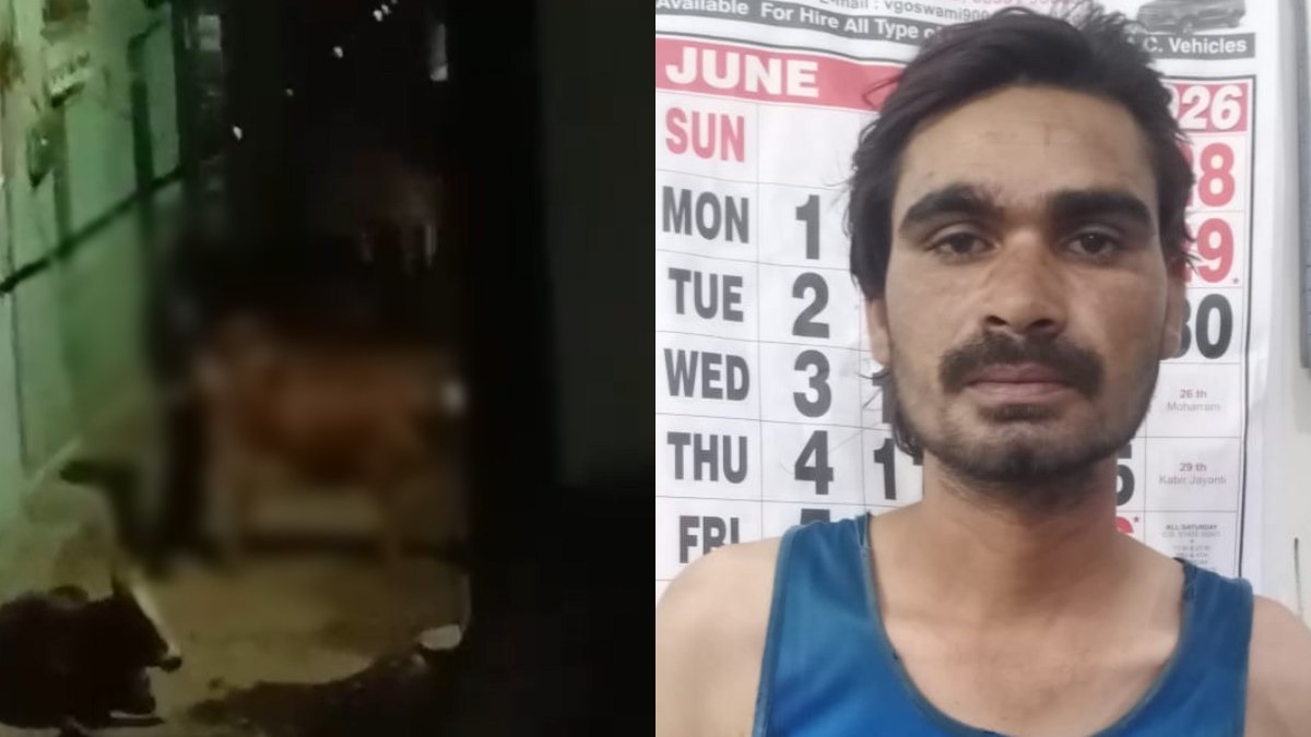 तखतपुर में गौवंश के साथ कथित अप्राकृतिक कृत्य का मामला, वायरल वीडियो के आधार पर आरोपी गिरफ्तार, जेल भेजा गया