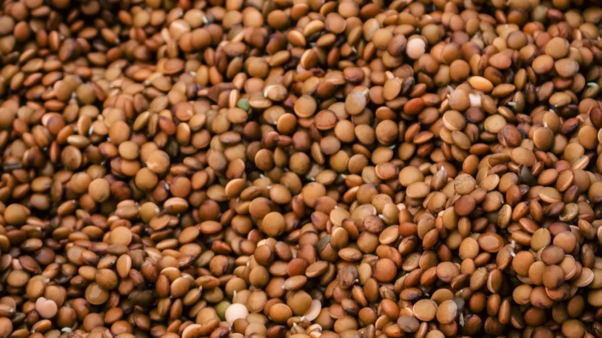 Health Tips: कुलथी की दाल खाने के फायदे, किडनी स्टोन, वजन घटाने, पाचन और हड्डियों के लिए क्यों है फायदेमंद?