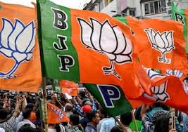 केंद्रीय बजट के विषय पर भाजपा ने प्रदेश स्तरीय समिति का किया गठन, विधायक अमर अग्रवाल समेत इन्हें मिली जिम्मेदारी