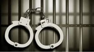 छत्तीसगढ़ पुलिस की कार्यवाही, सट्टेबाजी के आरोप में 14 लोगों को किया गिरफ्तार