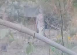  पति ने शराब के नशे में धारदार हथियार से पत्नी को उतारा मौत के घाट 