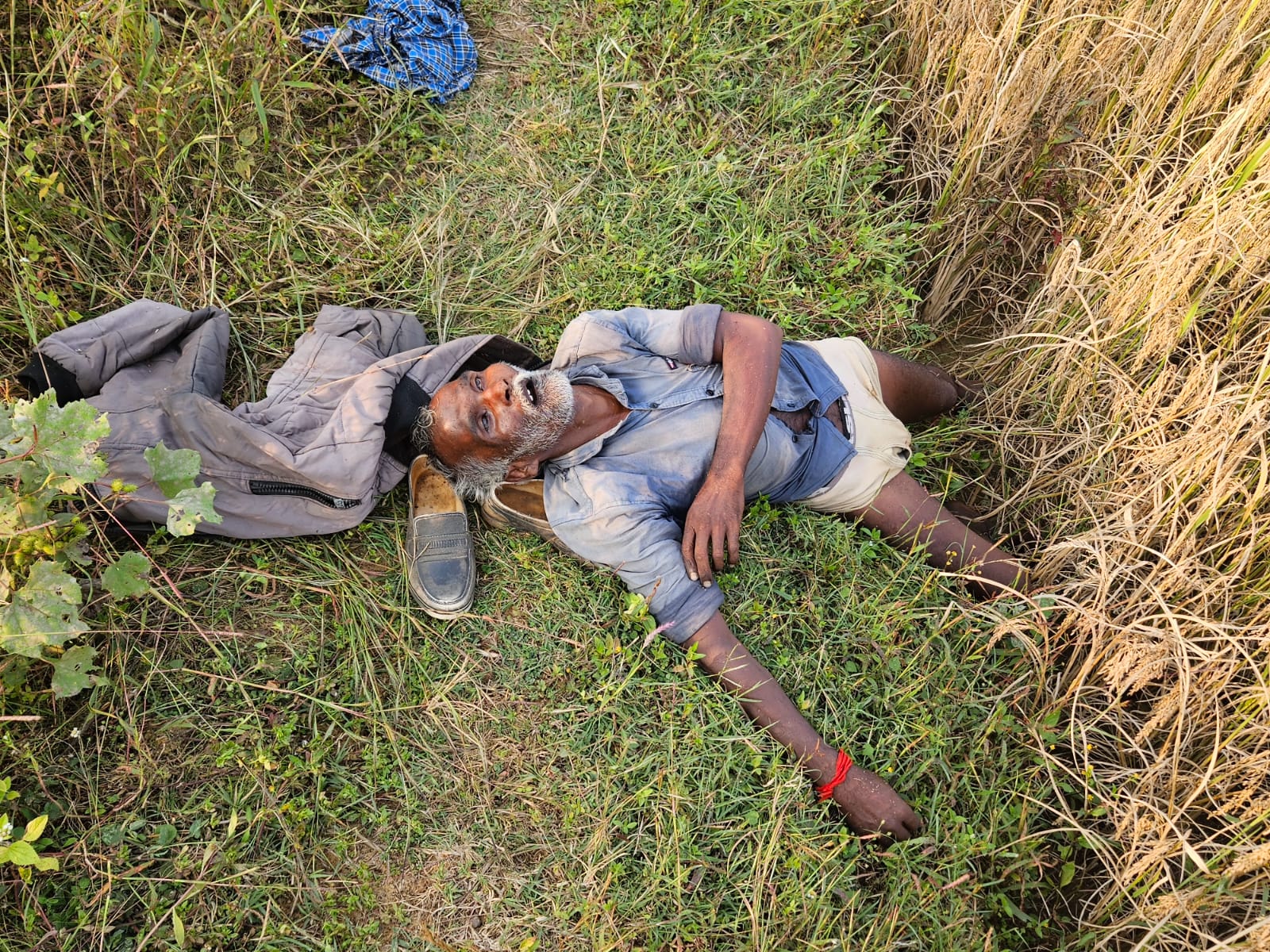 खेत के मेड़ में मिला वृद्ध ग्रामीण का शव जांच में जुटी पुलिस 