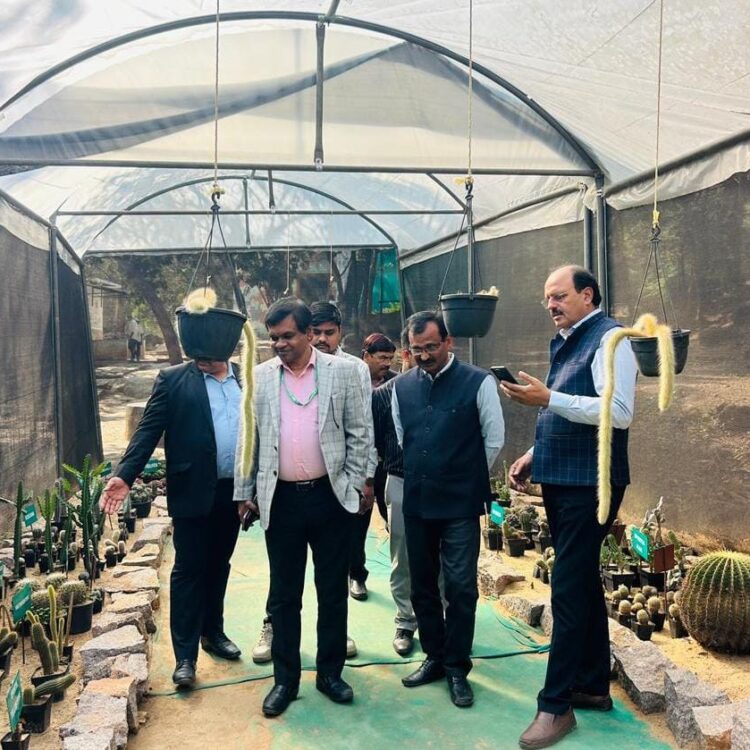 कोयला मंत्रालय के अपर सचिव ने किया गोंडवाना मरीन फॉसिल्स पार्क का दौरा