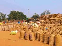 अवैध धान परिवहन पर संयुक्त टीम की कार्रवाई, कुल 230 कट्टा धान जप्त