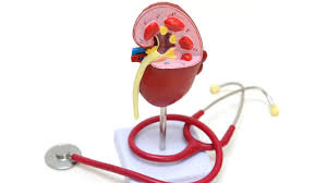 शरीर में सूजन होना क्या किडनी की खराबी का संकेत है? जानें  डॉक्टर से 