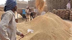 छत्तीसगढ़ में धान खरीदी के लिए तुहर टोकन मोबाइल एप शुरू