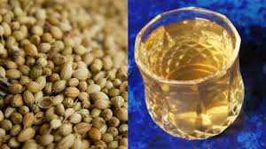 Weight Loss: क्या वाकई धनिया का पानी तेजी से वेट लॉस करने में मदद करता है? जानें