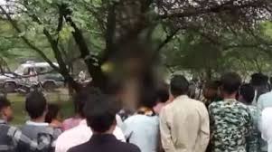 युवक-युवती ने एक साथ पेड़ पर फांसी लगाकर की आत्मत्या 