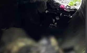 खैरागढ़:सड़क किनारे कंकाल मिलने से फैली सनसनी