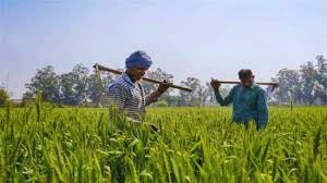रबी सीजन की तैयारी में जुटे किसान,कृषि विभाग ने की ये अपील