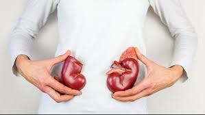 किडनी को हेल्दी रखेंगी ये ड्रिंक्स,आज ही डाईट में करें शामिल 