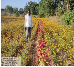 किसान लक्ष्मण गेंदा फूल की खेती से कमा रहे अच्छा लाभ